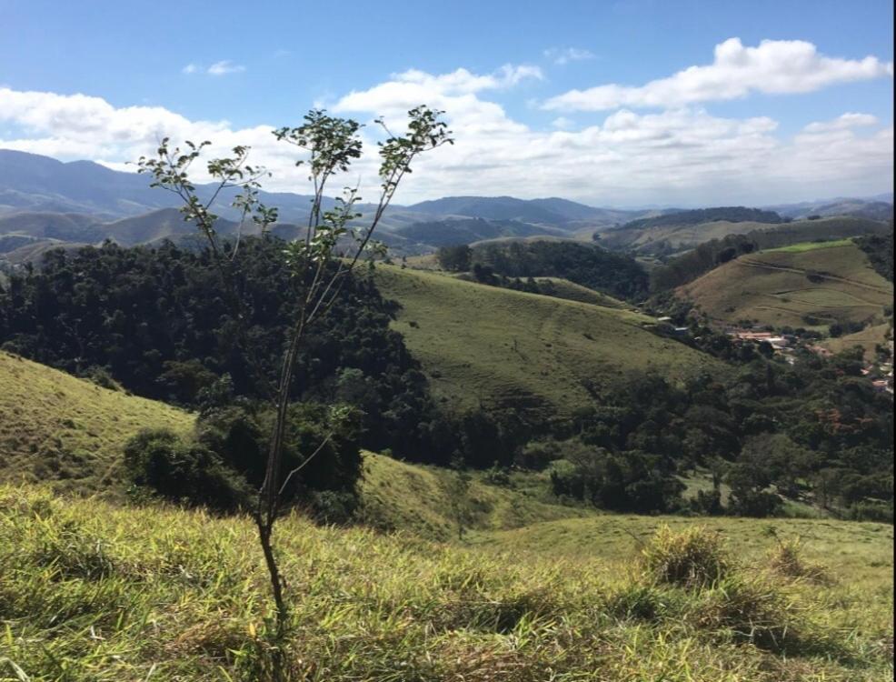 Vivenda dos Guaranys -Uma imersão na natureza - Casa Conservatória Exterior foto