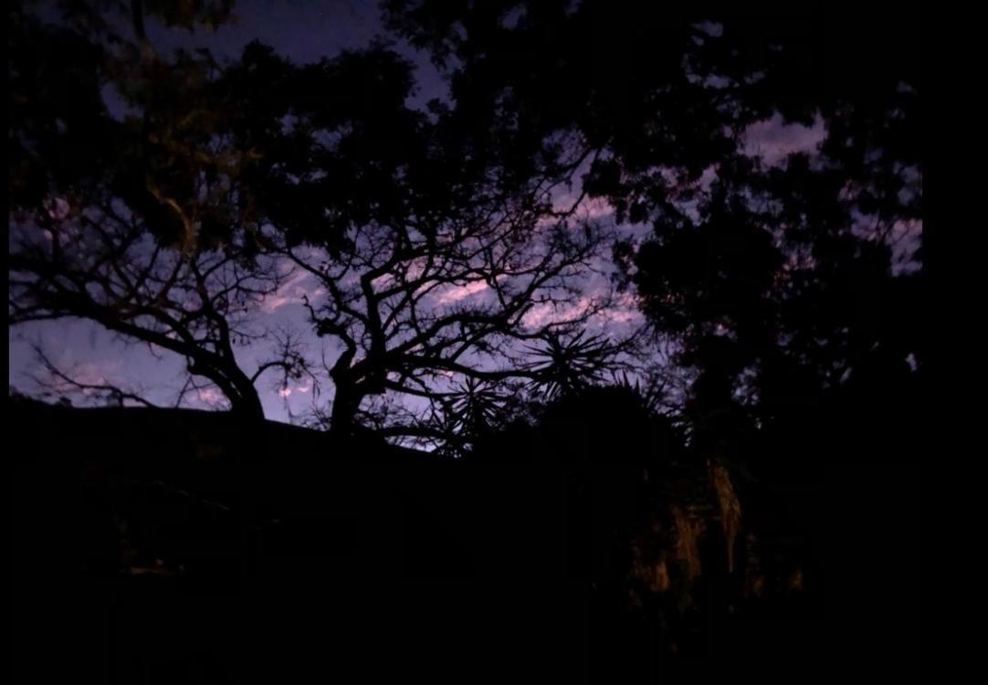 Vivenda dos Guaranys -Uma imersão na natureza - Casa Conservatória Exterior foto